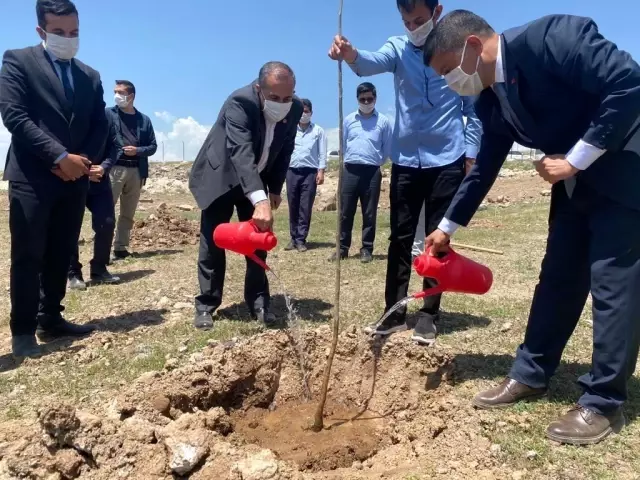 Erciş yeni projelerle ihya oldu Erciş yeni projelerle ihya oldu