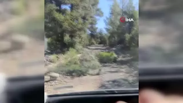 Hastaya yetişmeye çalışan 112 ekibine kütük engeli Hastaya yetişmeye çalışan 112 ekibine kütük engeli