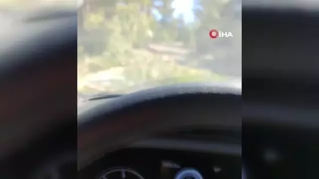 Hastaya yetişmeye çalışan 112 ekibine kütük engeli Hastaya yetişmeye çalışan 112 ekibine kütük engeli