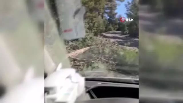 Hastaya yetişmeye çalışan 112 ekibine kütük engeli Hastaya yetişmeye çalışan 112 ekibine kütük engeli