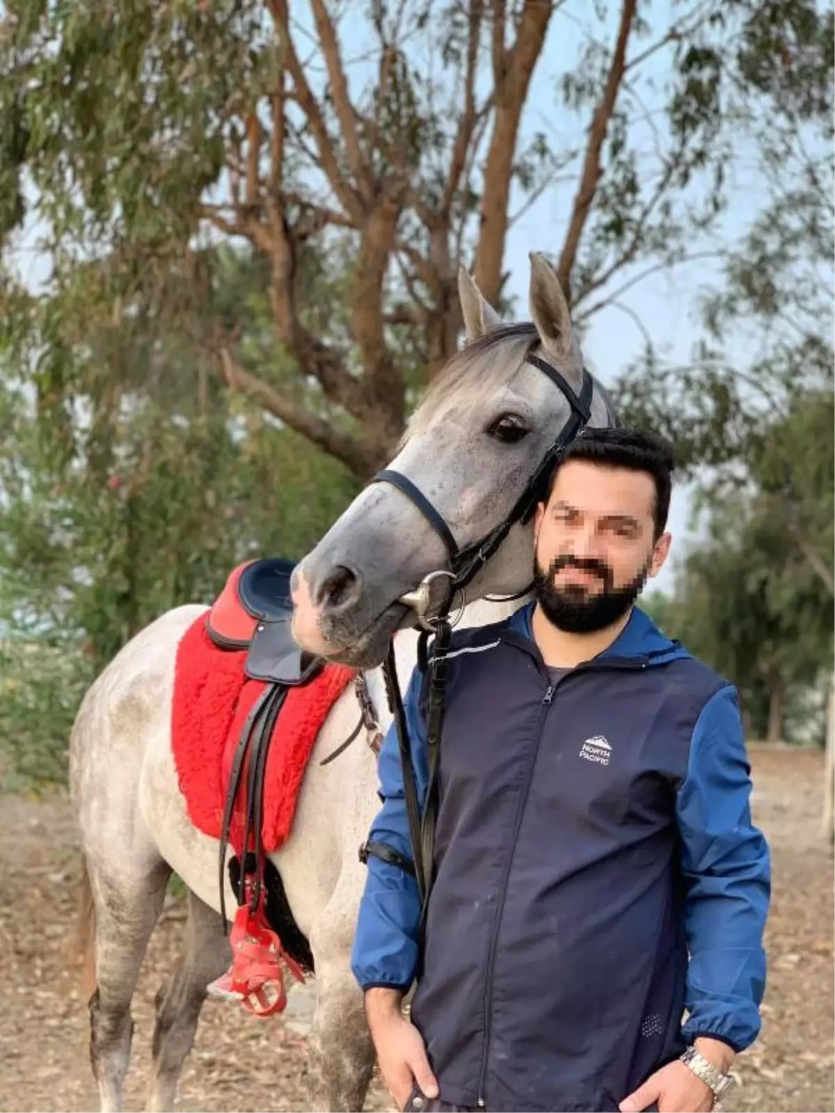 Hatay'daki kayıp atlar çiftliğe verilmiş; bakamayınca 'kaçtı' ihbarı yapmışlar (3)