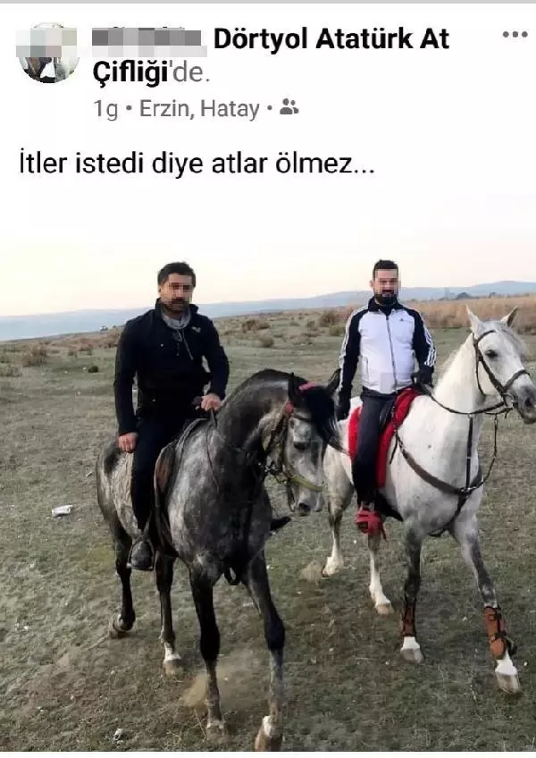 Hatay'daki kayıp atlar çiftliğe verilmiş; bakamayınca 'kaçtı' ihbarı yapmışlar (3) Hatay'daki kayıp atlar çiftliğe verilmiş; bakamayınca 'kaçtı' ihbarı yapmışlar (3)