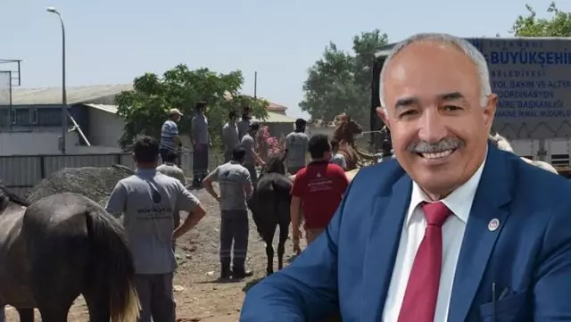 Hatay'daki kayıp atlarla ilgili yeni detaylar! Bakamayınca kayıp ihbarı yapmışlar Hatay'daki kayıp atlarla ilgili yeni detaylar! Bakamayınca kayıp ihbarı yapmışlar