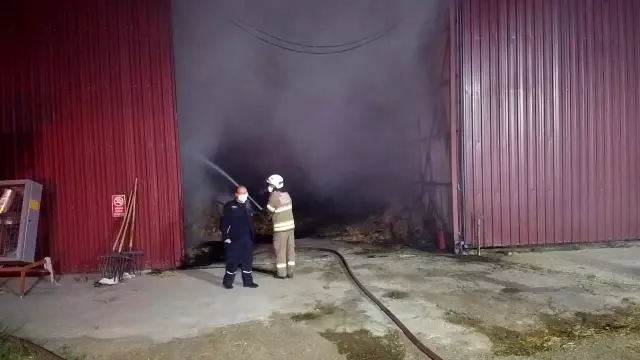 İzmir'de saman deposu yanarak küle döndü İzmir'de saman deposu yanarak küle döndü