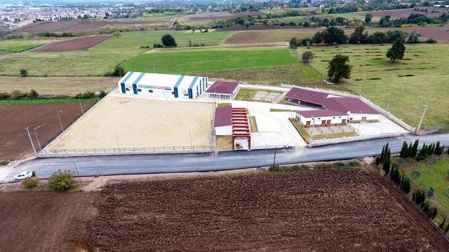 kartepe ye sokak hayvanlari icin rehabilitasy 4 14079998 o