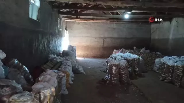 Patates depoları boşaldıkça üreticinin yüzü gülüyor Patates depoları boşaldıkça üreticinin yüzü gülüyor