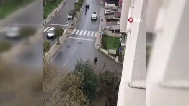 Pendik'te kaybolan papağanını anons ederek sokak sokak aradı