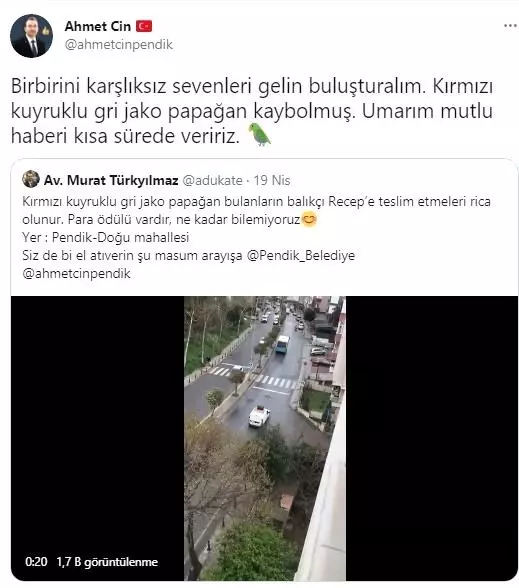 Pendik'te kaybolan papağanını anons ederek sokak sokak aradı