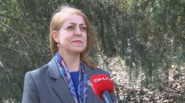Prof. Dr. Sevinç Asilhan'dan küresel ısınmayla ilgili ürperten sözler: İstanbul'un bütün meteorolojik özellikleri değişecek Prof. Dr. Sevinç Asilhan'dan küresel ısınmayla ilgili ürperten sözler: İstanbul'un bütün meteorolojik özellikleri değişecek