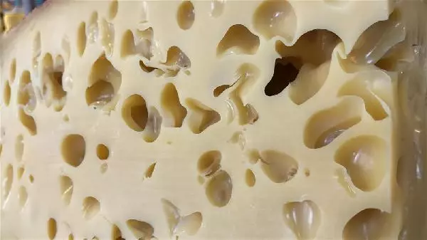 1400 litre sütten ürettiği 56 kiloluk Gravyer peynirini satışa çıkardı 1400 litre sütten ürettiği 56 kiloluk Gravyer peynirini satışa çıkardı