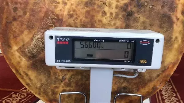 1400 litre sütten ürettiği 56 kiloluk Gravyer peynirini satışa çıkardı 1400 litre sütten ürettiği 56 kiloluk Gravyer peynirini satışa çıkardı