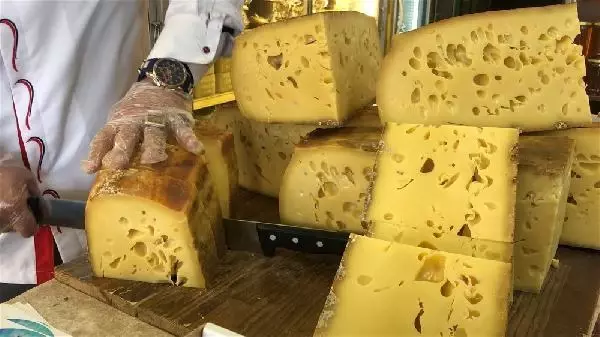 1400 litre sütten ürettiği 56 kiloluk Gravyer peynirini satışa çıkardı 1400 litre sütten ürettiği 56 kiloluk Gravyer peynirini satışa çıkardı