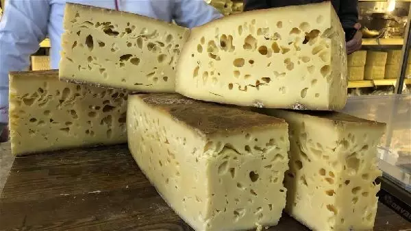 1400 litre sütten ürettiği 56 kiloluk Gravyer peynirini satışa çıkardı 1400 litre sütten ürettiği 56 kiloluk Gravyer peynirini satışa çıkardı