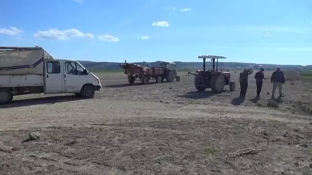 AFYONKARAHİSAR - Devrilen traktördeki 2 kişi yaralandı AFYONKARAHİSAR - Devrilen traktördeki 2 kişi yaralandı