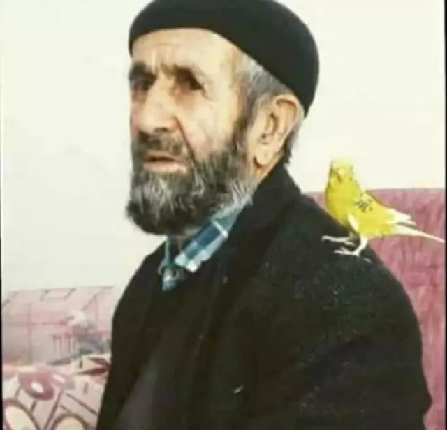 Bingöl'de kayıp yaşlı adam 6 gündür aranıyor Bingöl'de kayıp yaşlı adam 6 gündür aranıyor