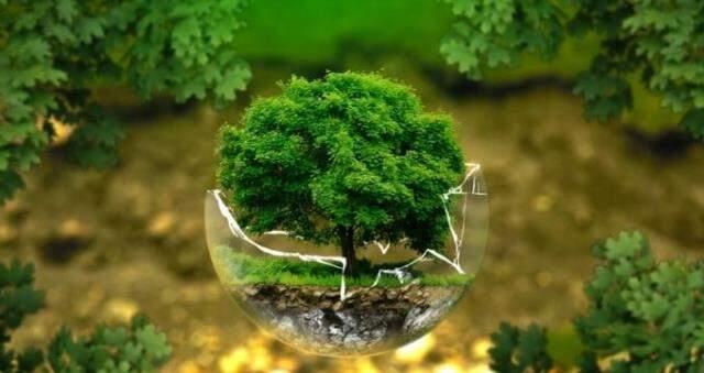 Dünya Günü nedir? 22 Nisan Google'da Dünya Günü (Earth Day) doodle oldu! Dünya Günü önemi ve tarihçesi nedir?