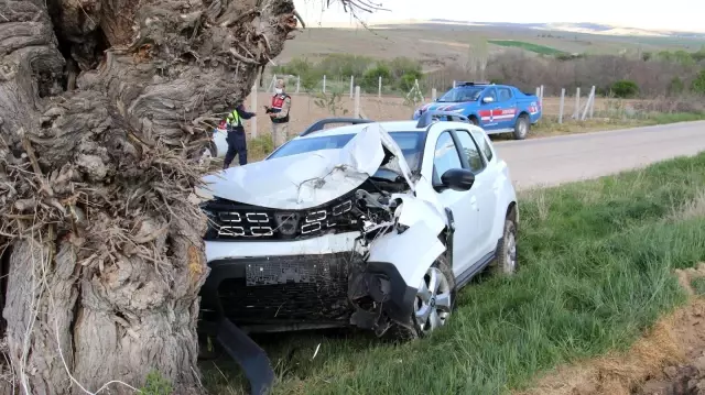 Otomobil ağaca çarptı: 2 yaralı Otomobil ağaca çarptı: 2 yaralı