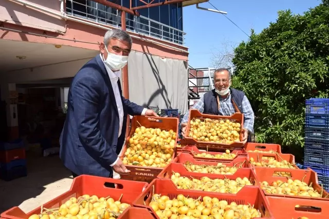 Pazar tezgahlarında kilogramı 5 TL'den satılıyor, sipariş yetişmiyor Pazar tezgahlarında kilogramı 5 TL'den satılıyor, sipariş yetişmiyor