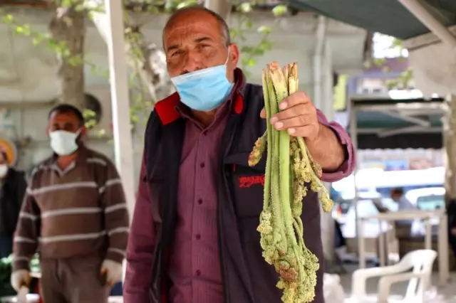 Tam bir şifa deposu, 'doğunun muzu' ışkın tezgahlarda yerini aldı Tam bir şifa deposu, 'doğunun muzu' ışkın tezgahlarda yerini aldı