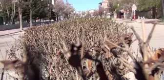 23 Nisan Ulusal Egemenlik Ve Çocuk Bayramı: 82 saatlik kısıtlamada Van sessizliğe büründü 23 Nisan Ulusal Egemenlik Ve Çocuk Bayramı: 82 saatlik kısıtlamada Van sessizliğe büründü