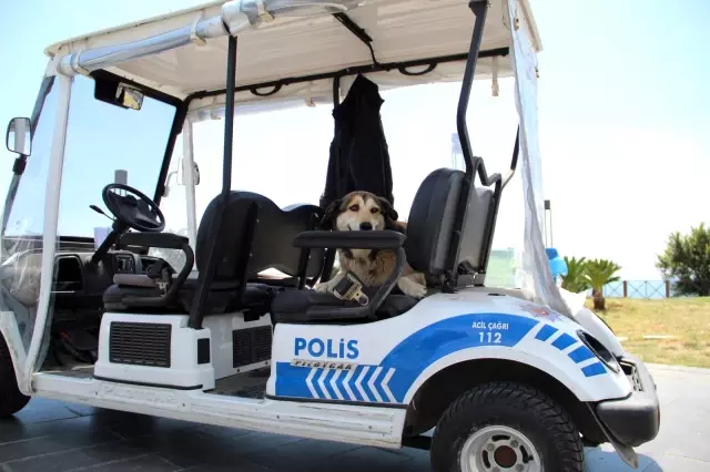 Antalya'da kısıtlama sessizliği Antalya'da kısıtlama sessizliği