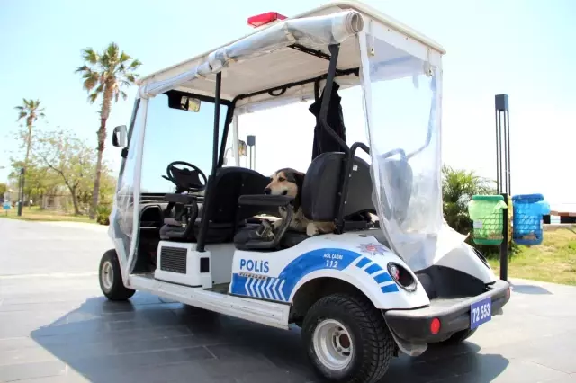 Antalya'da kısıtlama sessizliği Antalya'da kısıtlama sessizliği