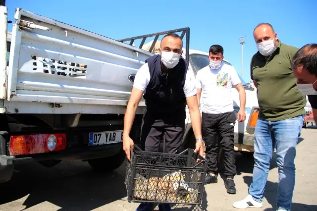 Kamyonetinde son anda fark edip bulduğu yavru kedileri şırınga ile besliyor Kamyonetinde son anda fark edip bulduğu yavru kedileri şırınga ile besliyor