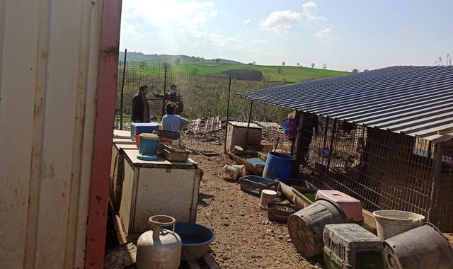 kotu sartlarda bakilan sokak hayvanlari 4 14087152 o