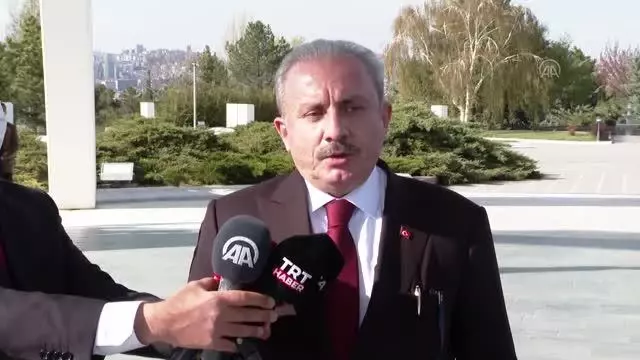 TBMM Başkanı Şentop, İstiklal Harbi kahramanlarının kabirlerini ziyaret etti (3)