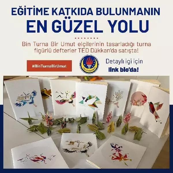 Son dakika! Turna kuşları çocukların eğitimi için kanatlanıyor