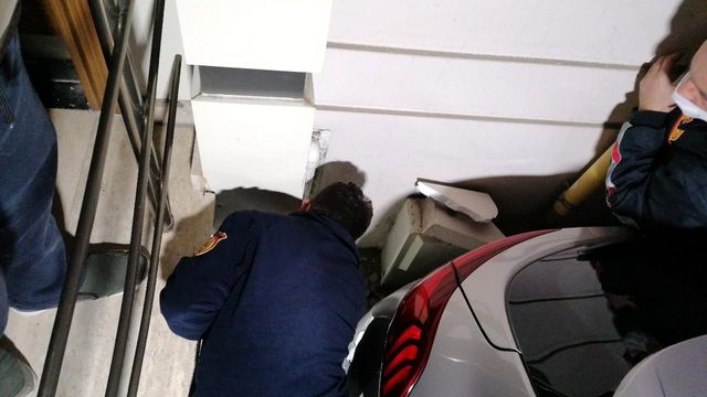 yavru kedinin sikistigi yeri kedi sesi acarak 3 14085251 o
