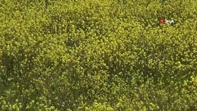 yaz mevsiminin gec gelmesi korkulacak bir dur 14085194 o