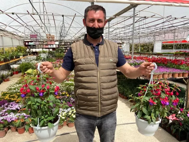 Afyonkarahisar'da çiçekçiler sezona hazır Afyonkarahisar'da çiçekçiler sezona hazır