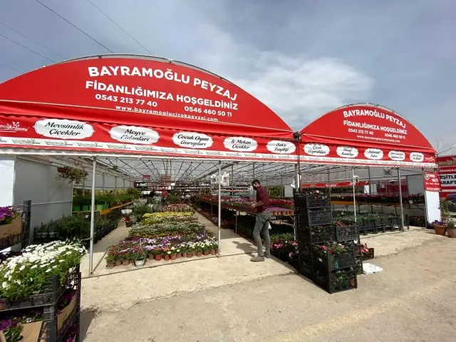 Afyonkarahisar'da çiçekçiler sezona hazır Afyonkarahisar'da çiçekçiler sezona hazır