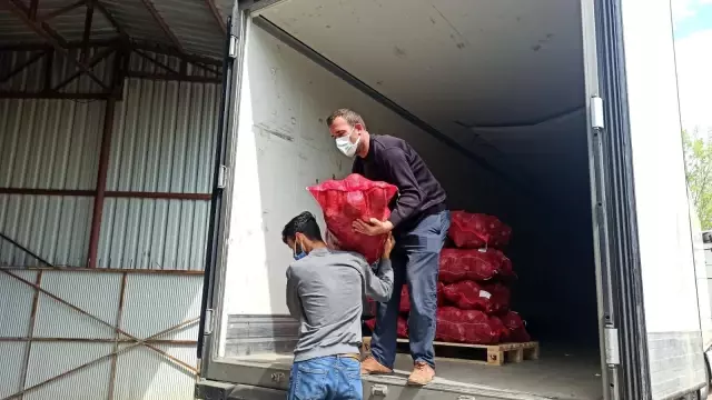 Bafra Ovası'ndan kışlık sebze ihracatı attı Bafra Ovası'ndan kışlık sebze ihracatı attı