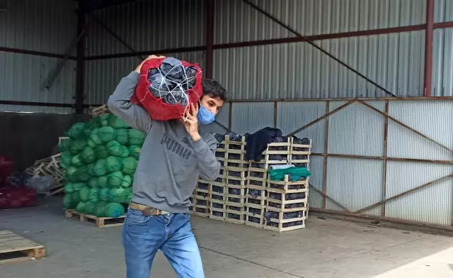 Bafra Ovası'ndan kışlık sebze ihracatı attı Bafra Ovası'ndan kışlık sebze ihracatı attı