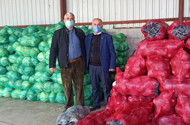 Bafra Ovası'ndan kışlık sebze ihracatı attı Bafra Ovası'ndan kışlık sebze ihracatı attı