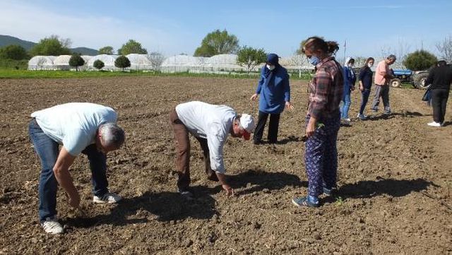 'Balıkesir, Türkiye'nin aromaterapi merkezi olacak'