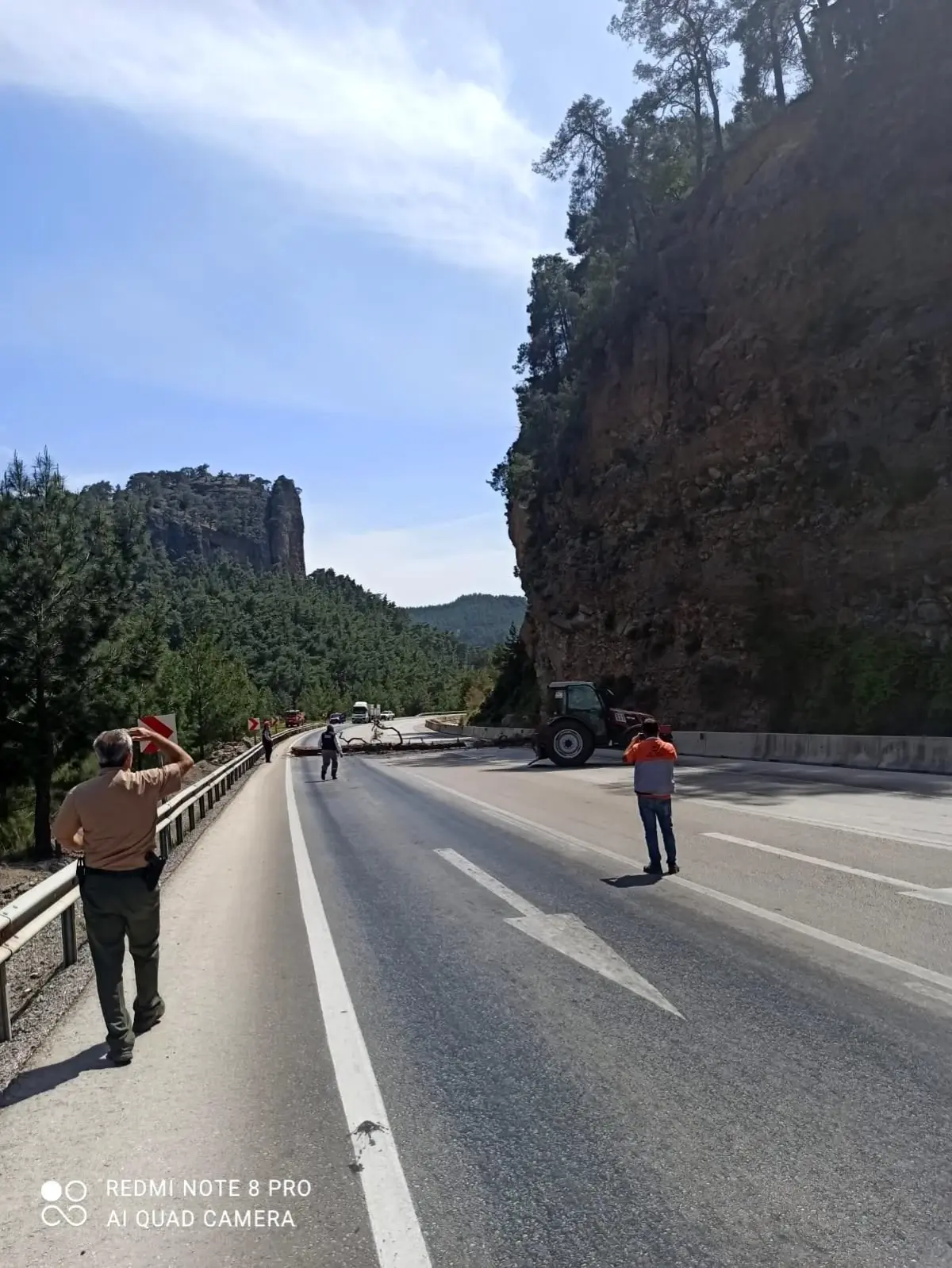 Karayoluna düşme tehlikesi bulunan ağaçlar kesildi