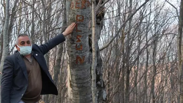 Köyde esrarengiz olay! Su borularını kırıp ağaca 'Ders olsun' yazdılar Köyde esrarengiz olay! Su borularını kırıp ağaca 'Ders olsun' yazdılar