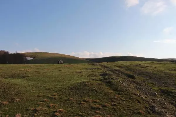 Köyün su borusunu kırıp, ağaca 'Ders olsun' yazmışlar Köyün su borusunu kırıp, ağaca 'Ders olsun' yazmışlar