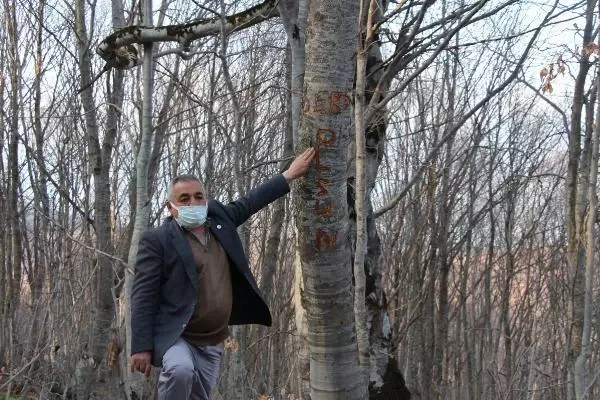 Köyün su borusunu kırıp, ağaca 'Ders olsun' yazmışlar Köyün su borusunu kırıp, ağaca 'Ders olsun' yazmışlar
