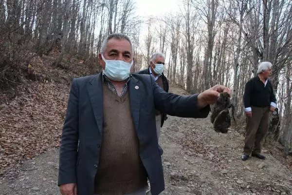 Köyün su borusunu kırıp, ağaca 'Ders olsun' yazmışlar Köyün su borusunu kırıp, ağaca 'Ders olsun' yazmışlar