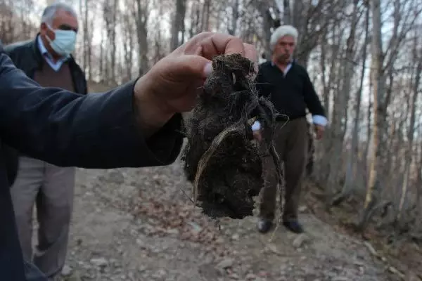 Köyün su borusunu kırıp, ağaca 'Ders olsun' yazmışlar Köyün su borusunu kırıp, ağaca 'Ders olsun' yazmışlar