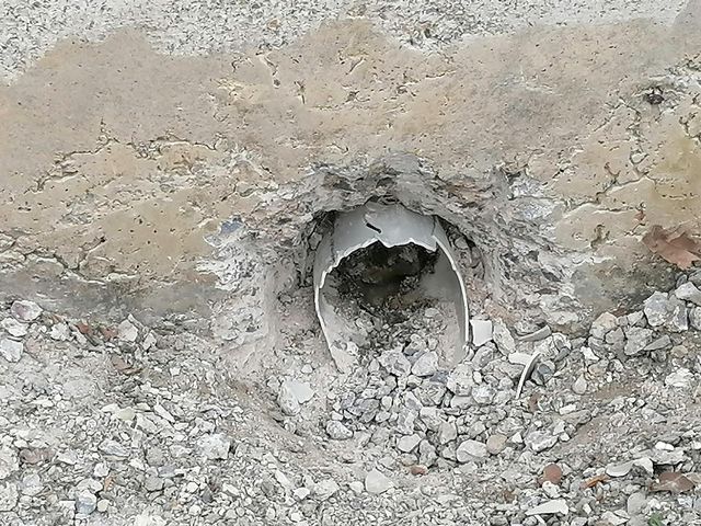sikisan kaplumbagayi kurtarabilmek icin 1 saa 10 14087770 o