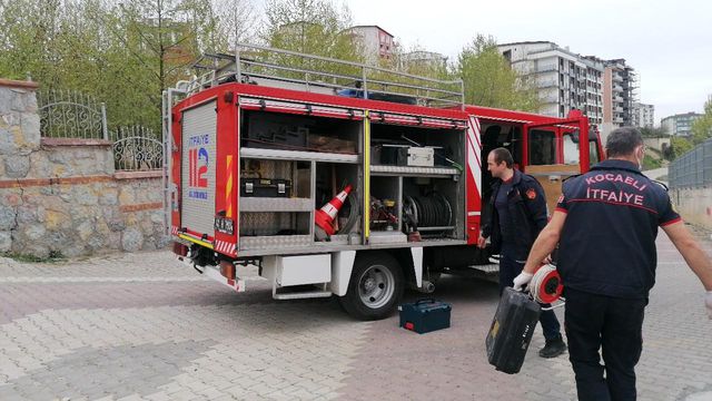 sikisan kaplumbagayi kurtarabilmek icin 1 saa 8 14087770 o