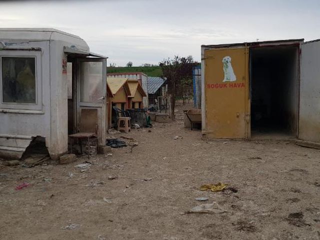uygunsuz kosullarda 250 kopegin bulundugu 7 14087348 o