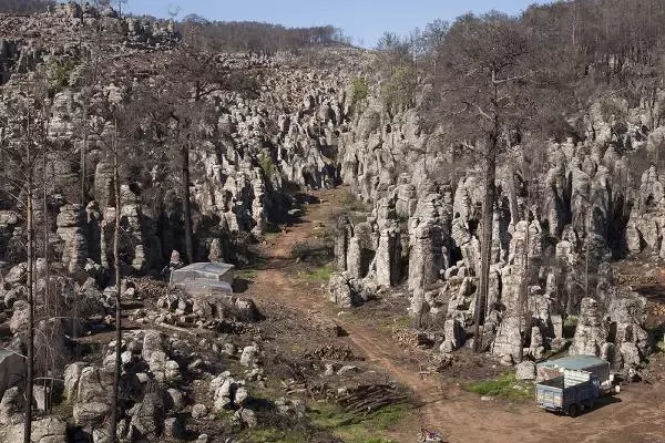ANTALYA YANAN ORMANLAR YEŞİLLENDİ ANTALYA YANAN ORMANLAR YEŞİLLENDİ