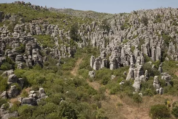 ANTALYA YANAN ORMANLAR YEŞİLLENDİ ANTALYA YANAN ORMANLAR YEŞİLLENDİ