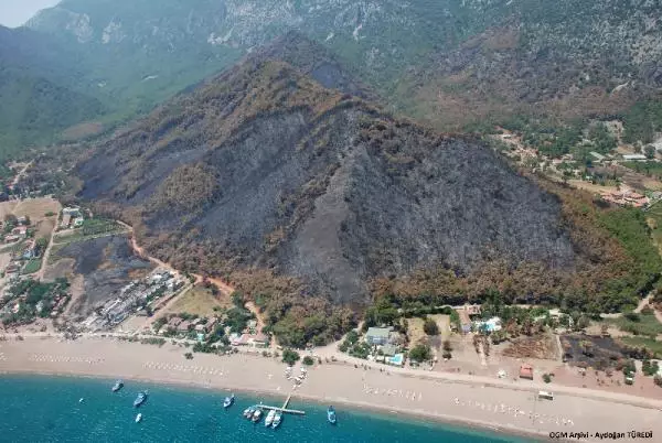ANTALYA YANAN ORMANLAR YEŞİLLENDİ ANTALYA YANAN ORMANLAR YEŞİLLENDİ
